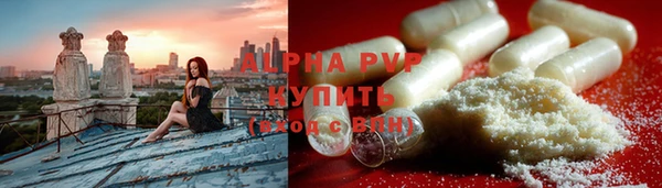 прущие грибы Балахна
