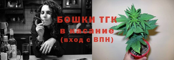 прущие грибы Балахна