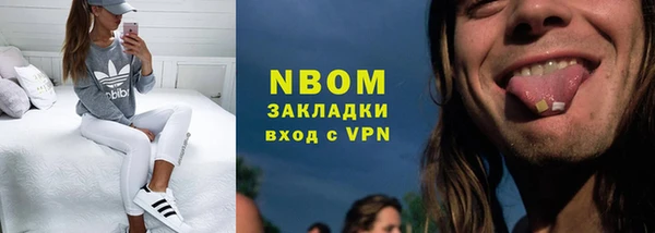 прущие грибы Балахна