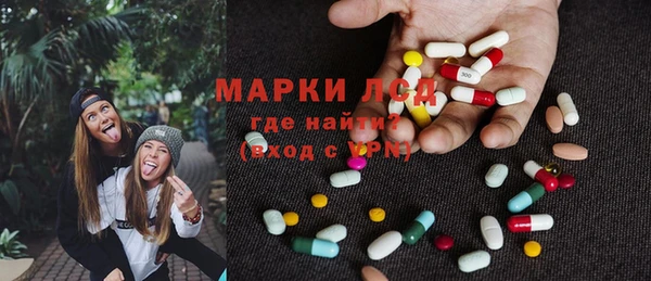 прущие грибы Балахна