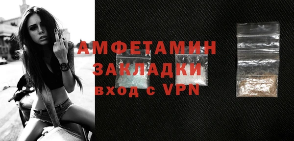 прущие грибы Балахна