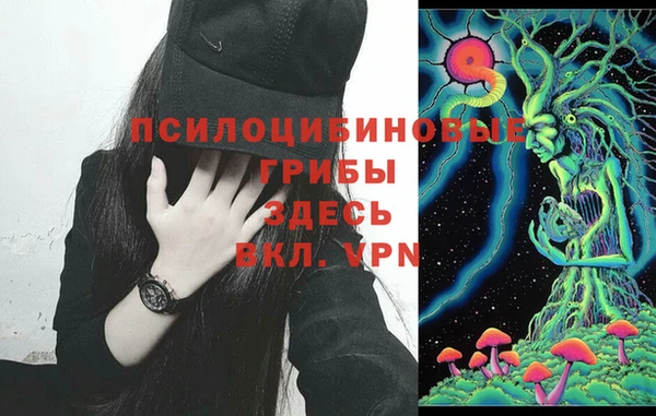 прущие грибы Балахна